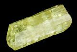 Five Yellow Apatite Crystals ( - ) - Pieces #108363-1